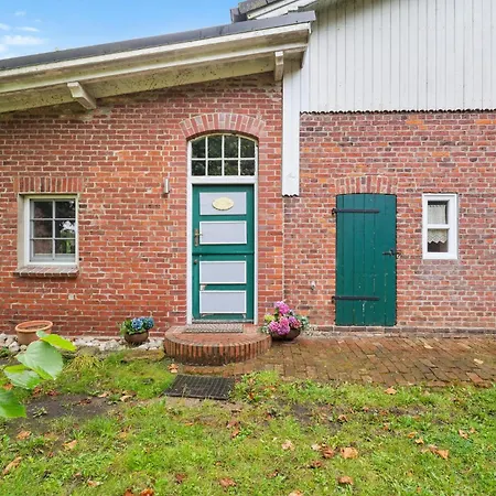 Beautiful In Daire Wingst