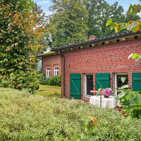 Beautiful In Daire Wingst